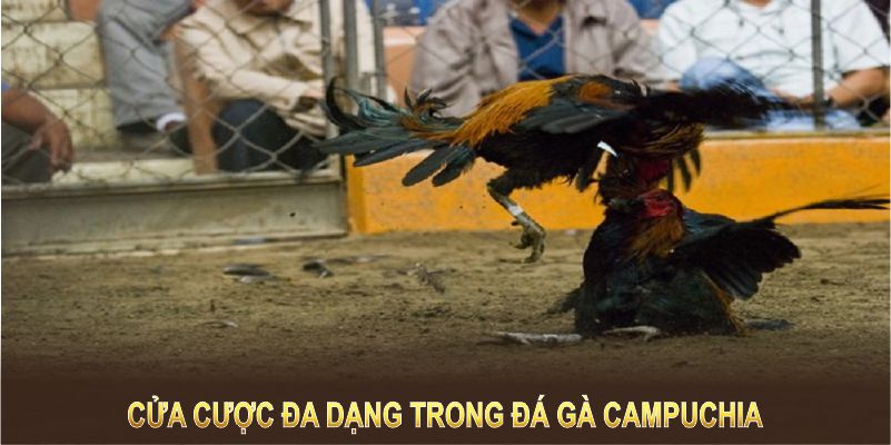 Cửa cược đa dạng giúp hội viên dễ dàng tham gia và tối ưu lợi nhuận