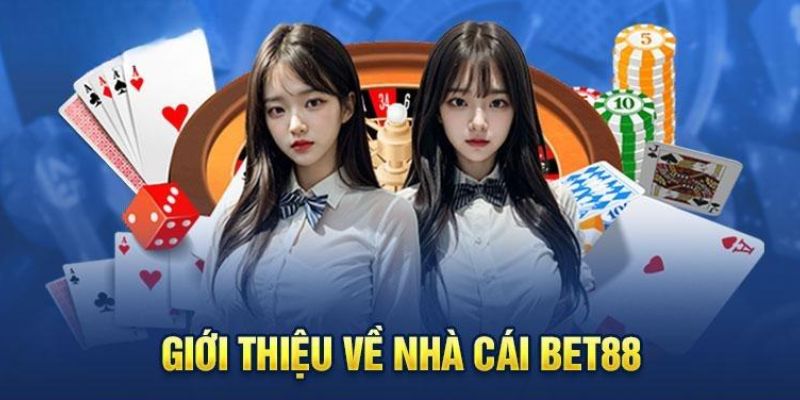 Thông tin tóm tắt về giới thiệu VNBET88 