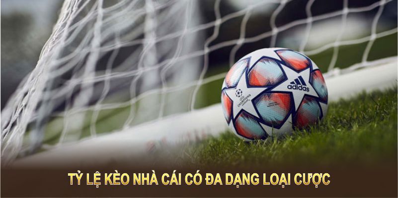 Tỷ lệ kèo nhà cái có đa dạng loại cược